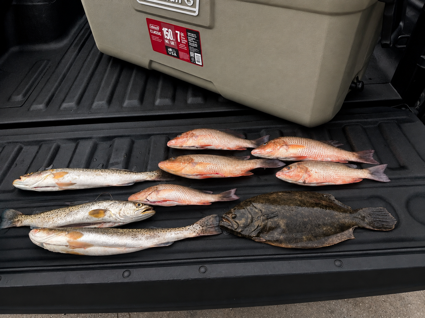 Inshore Bite: Mangrove Snapper Heating Up Across Southwest Florida