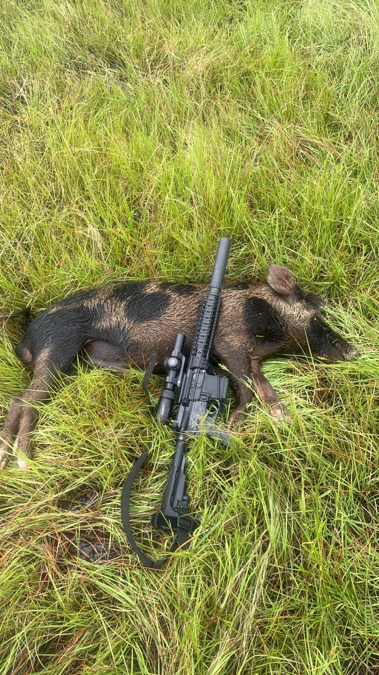 Chasing Hogs: Florida's Wildest Pursuit